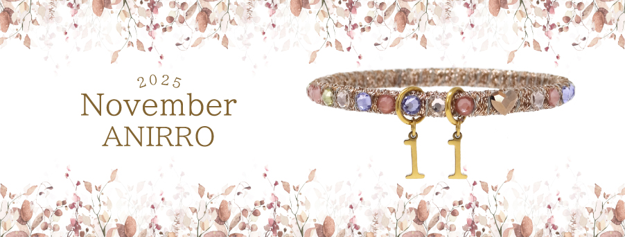 11月アニーロ
